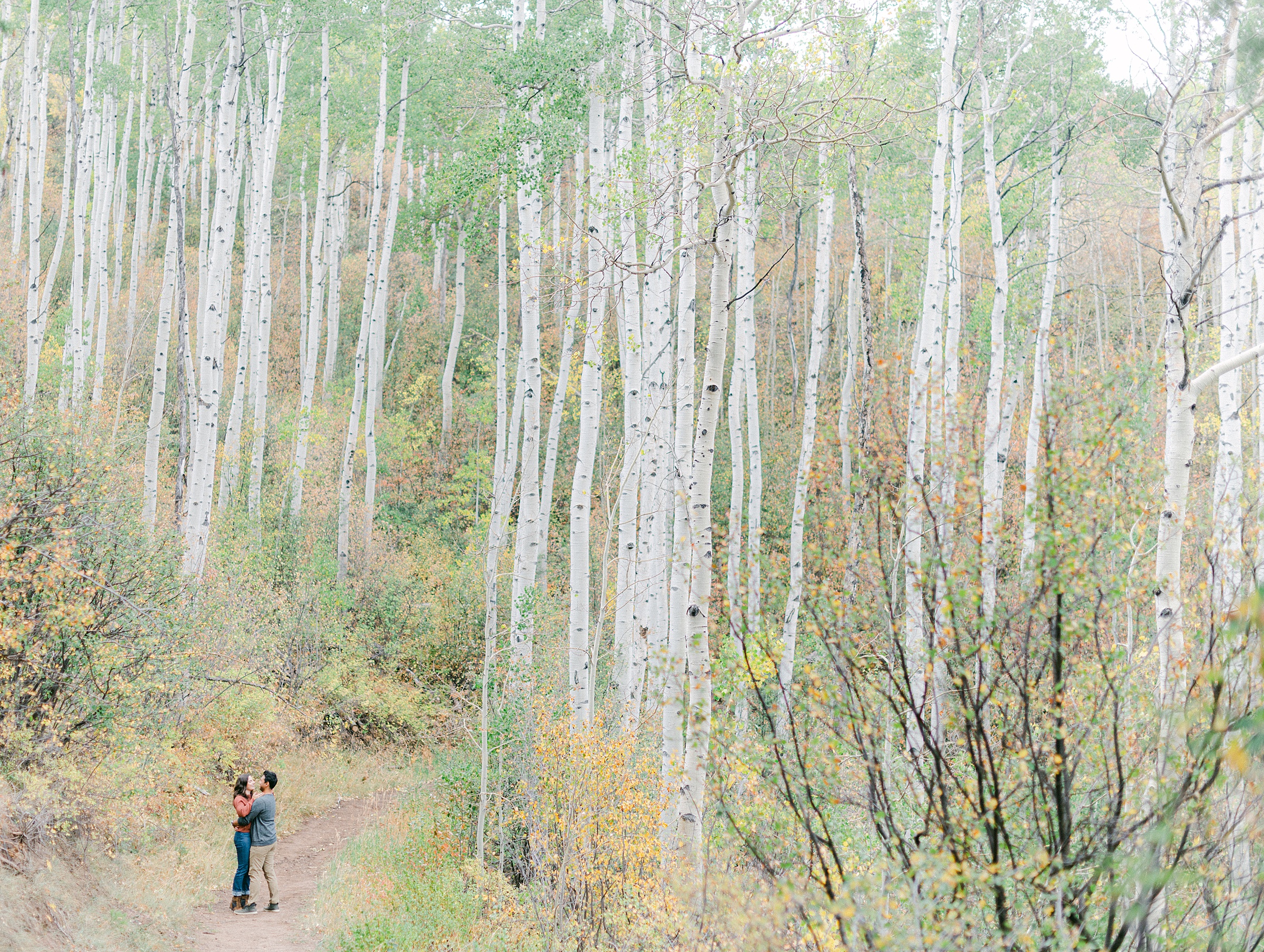 Aspen trees in fall for Vail engagement pictures