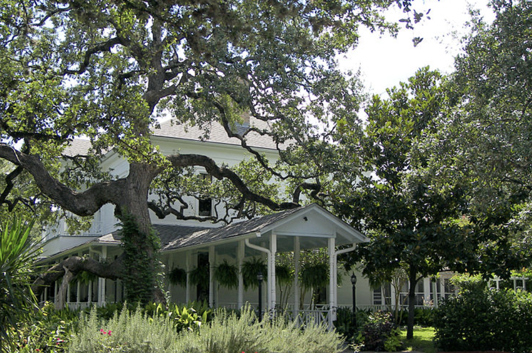 Mattie's Austin wedding venues