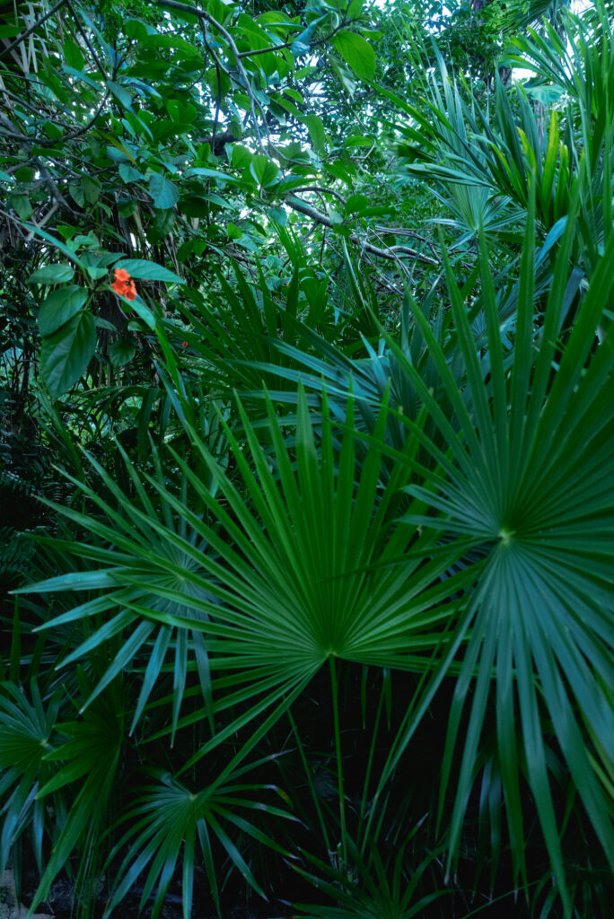 destination wedding resorts in Mexico with views | Hotel Esencia
